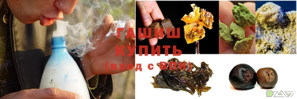 индика Медвежьегорск