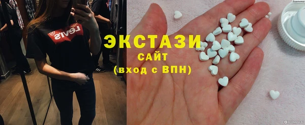 индика Медвежьегорск