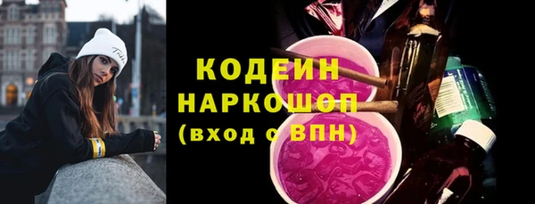 индика Медвежьегорск