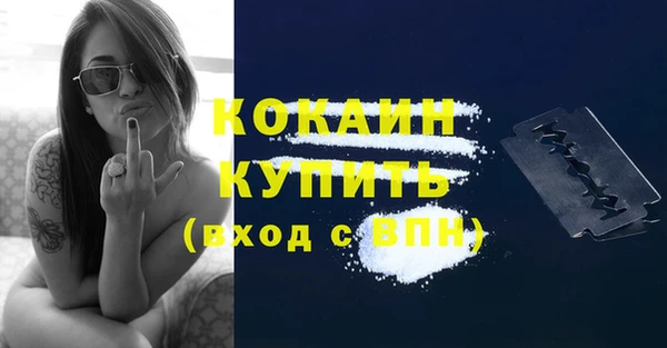 индика Медвежьегорск