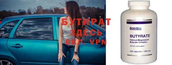 индика Медвежьегорск