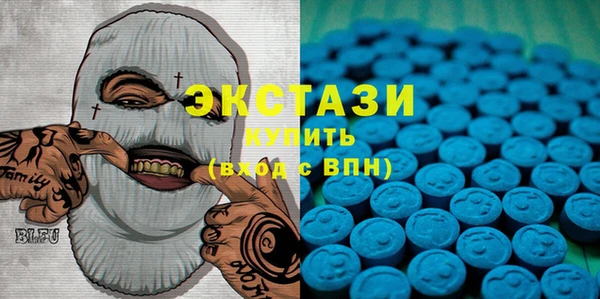 индика Медвежьегорск