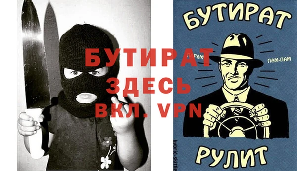 индика Медвежьегорск