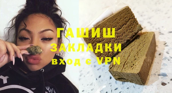 индика Медвежьегорск