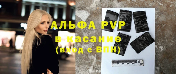 индика Медвежьегорск