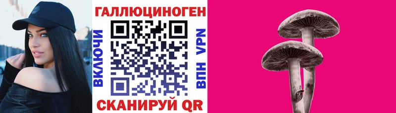 закладки  Ильский  Галлюциногенные грибы GOLDEN TEACHER 