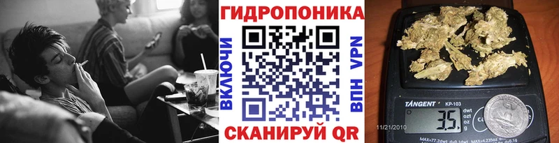 Бошки марихуана конопля Ильский